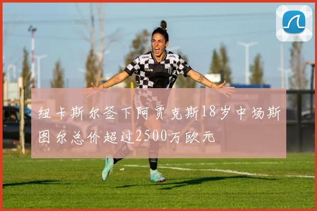 纽卡斯尔签下阿贾克斯18岁中场斯图尔总价超过2500万欧元