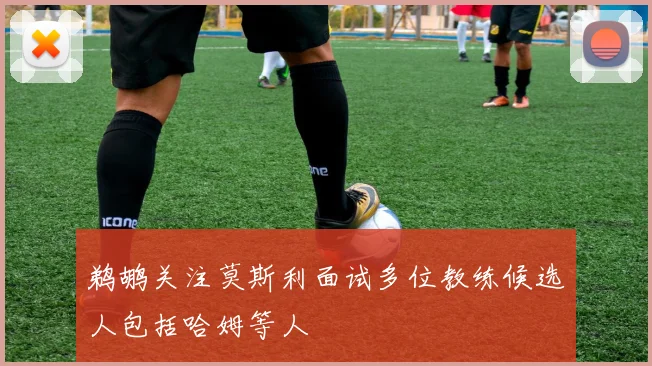 鹈鹕关注莫斯利面试多位教练候选人包括哈姆等人